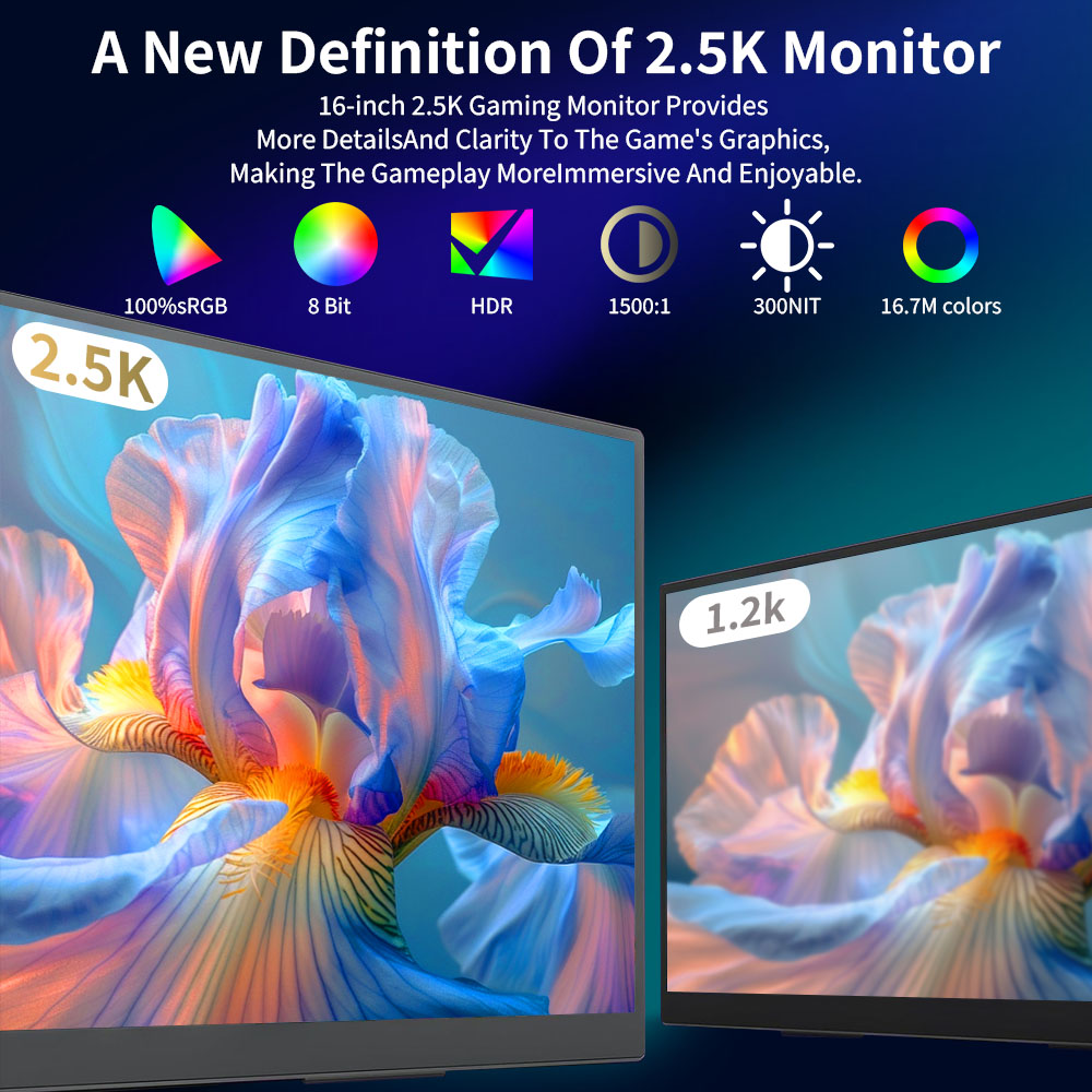 MAFNKOU Moniteur Portable 13,3 - Dual Monitor Desk Setup avis et prix